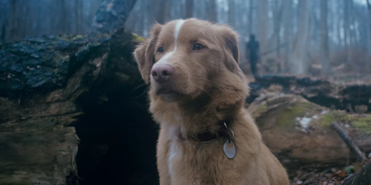 16 Must-See Movies of October 2025
