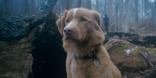 16 Must-See Movies of October 2025